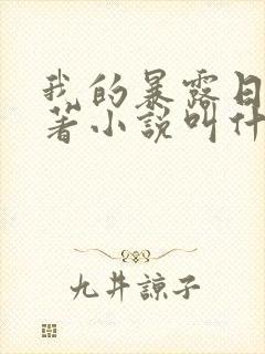 我的暴露日记原著小说叫什么