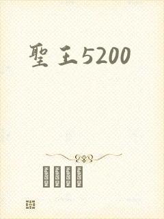 圣王5200