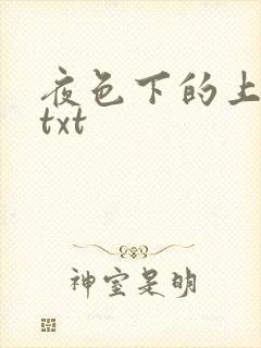 夜色下的上海滩txt