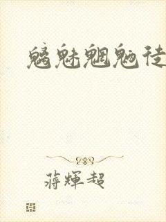 魑魅魍魉徒为尔