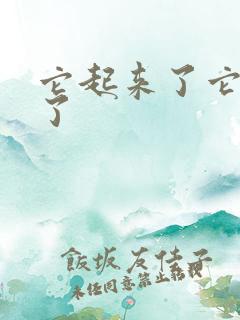 它起来了它想你了