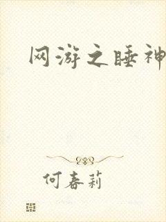 网游之睡神传说