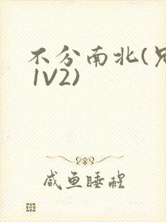 不分南北(兄弟 1V2)