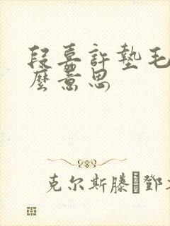 段嘉许垫毛巾什么意思