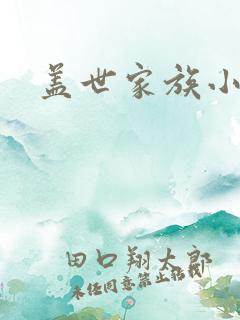 盖世家族小说