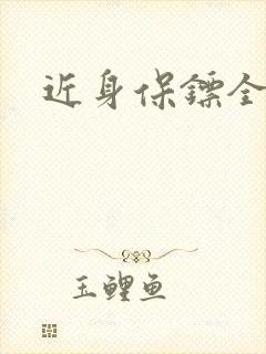 近身保镖全集