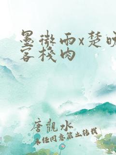 墨微雨x楚晚宁客栈肉