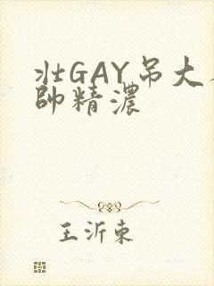 壮GAY吊大人帅精浓