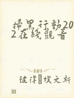 扫黑行动2022在线观看