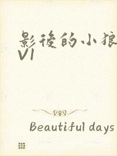 影后的小狼狗1V1