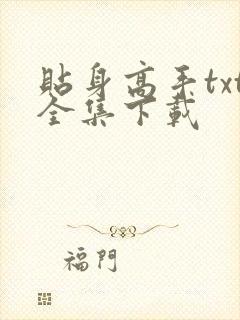 贴身高手txt全集下载