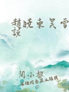 赵晓东吴雪晴小说