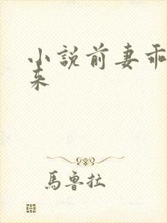 小说前妻乖乖回来