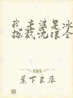 我老婆是冰山女总裁沈浪全集