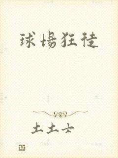 球场狂徒