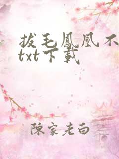 拔毛凤凰不如鸡txt下载