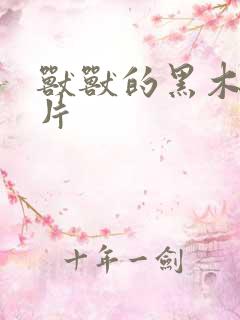 兽兽的黑木耳照片