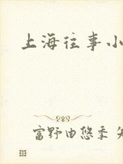 上海往事小说