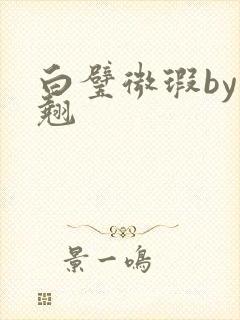 白璧微瑕by连翘