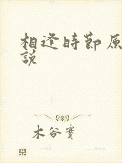 相逢时节原著小说