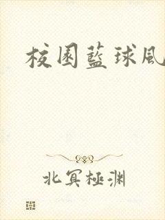 校园蓝球风云