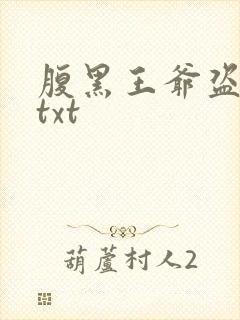 腹黑王爷盗墓妃txt