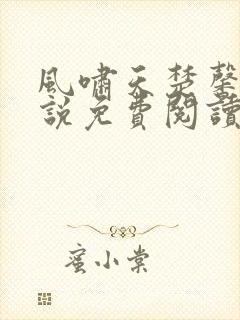 风啸天楚馨月小说免费阅读