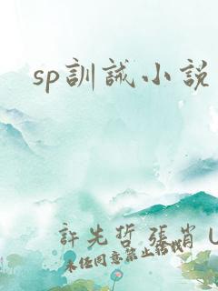 sp训诫小说
