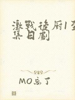 激战后厨1至5集日剧