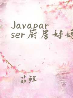Javaparser厨房好妈妈