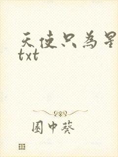 天使只为星夜哭txt