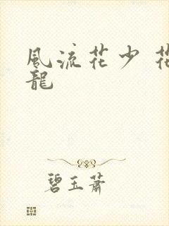 风流花少 花睿龙