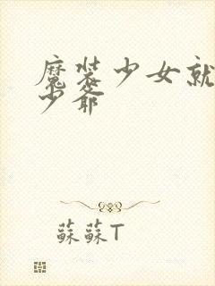 魔装少女就是本少爷