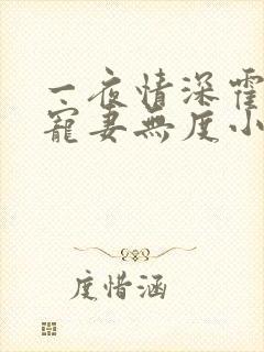 一夜情深霍先生宠妻无度小说免费阅读