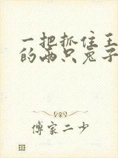 一把抓住王昭君的两只兔子