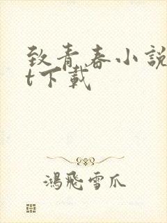 致青春小说txt下载