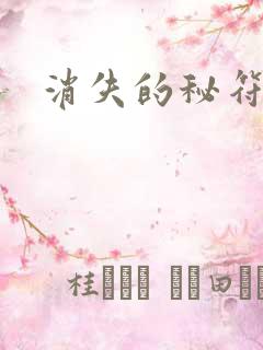 消失的秘符