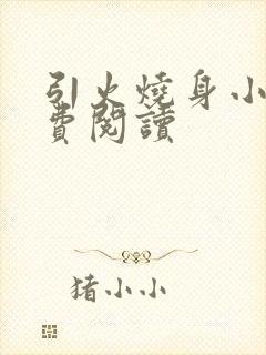 引火烧身小说免费阅读