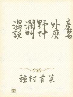 温澜野外产子小说叫什么名字