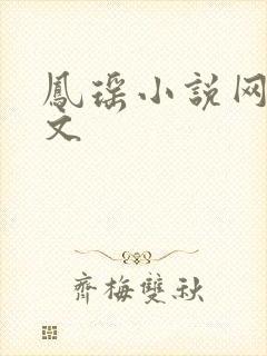 凤瑶小说网高辣文