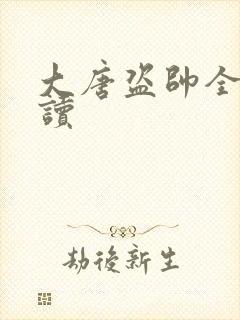 大唐盗帅全文阅读