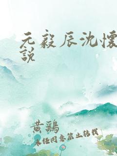 元毅辰沈怀妆小说