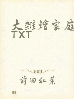 大杂烩家庭小说TXT