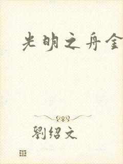 光明之舟金手指