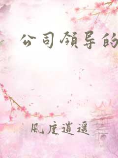 公司领导的老婆