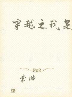 穿越之我是华筝