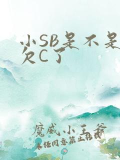 小SB是不是又欠C了