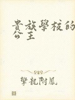 贵族学校的双面公主