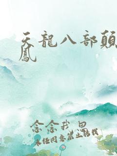 天龙八部颠龙鸾凤