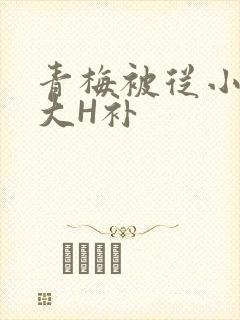 青梅被从小摸到大H补